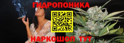 молекула духа Ливны