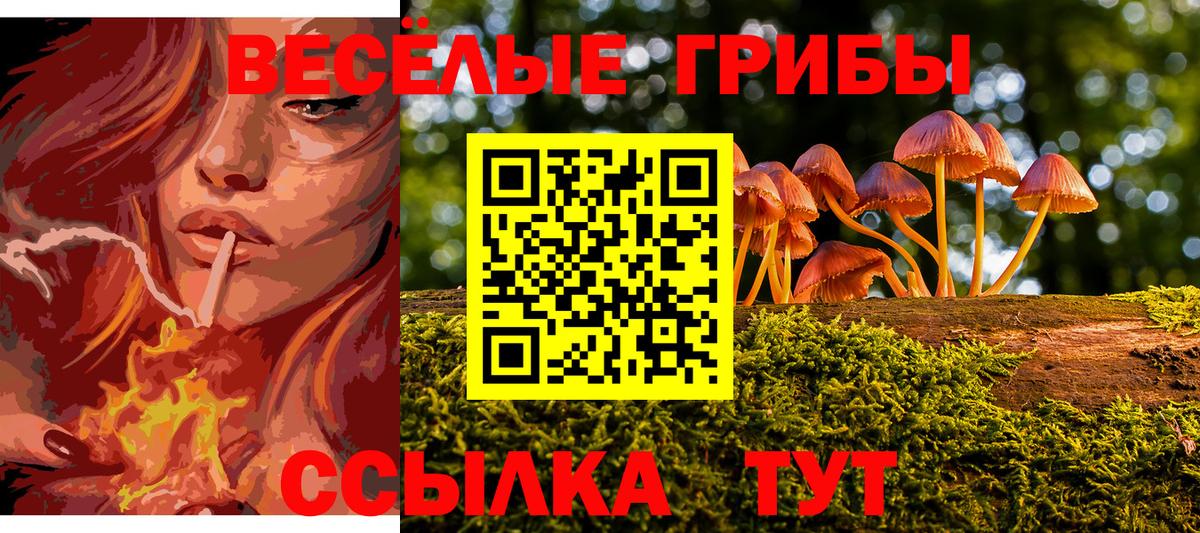 Урюпинск  Псилоцибиновые грибы Psilocybe  Вход с VPN 