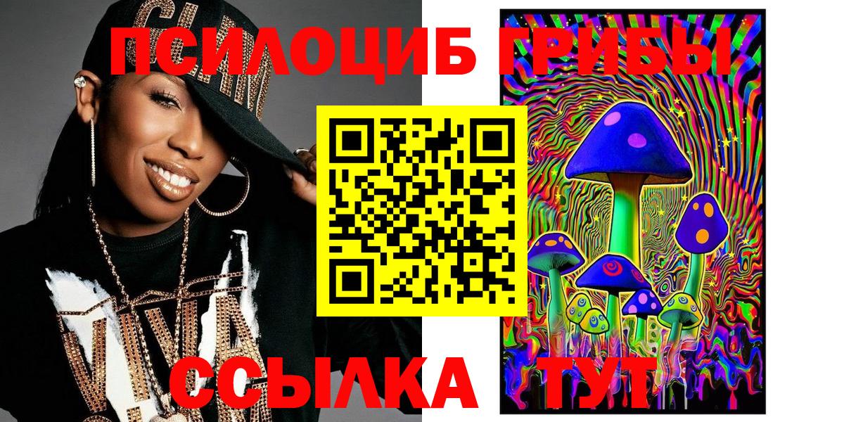 Псилоцибиновые грибы Psilocybe Урюпинск